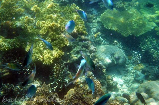 Balaibinda Lodge Coron Luaran gambar