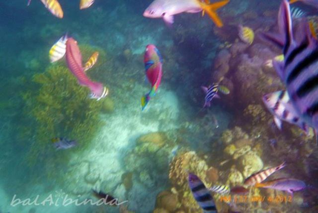 Balaibinda Lodge Coron Luaran gambar