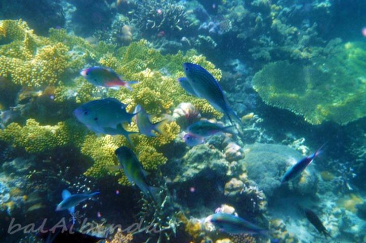 Balaibinda Lodge Coron Luaran gambar